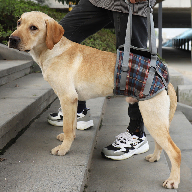 Orthopedic Hind Leg Harness