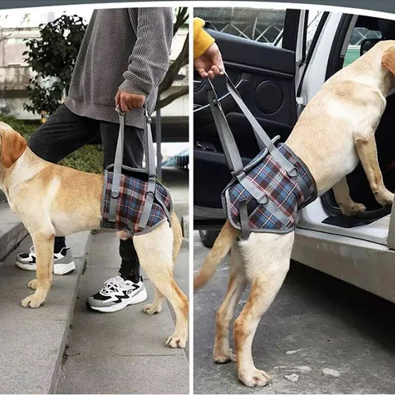 Orthopedic Hind Leg Harness
