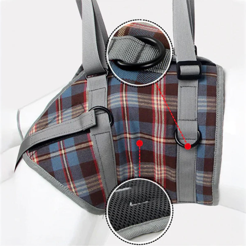Orthopedic Hind Leg Harness