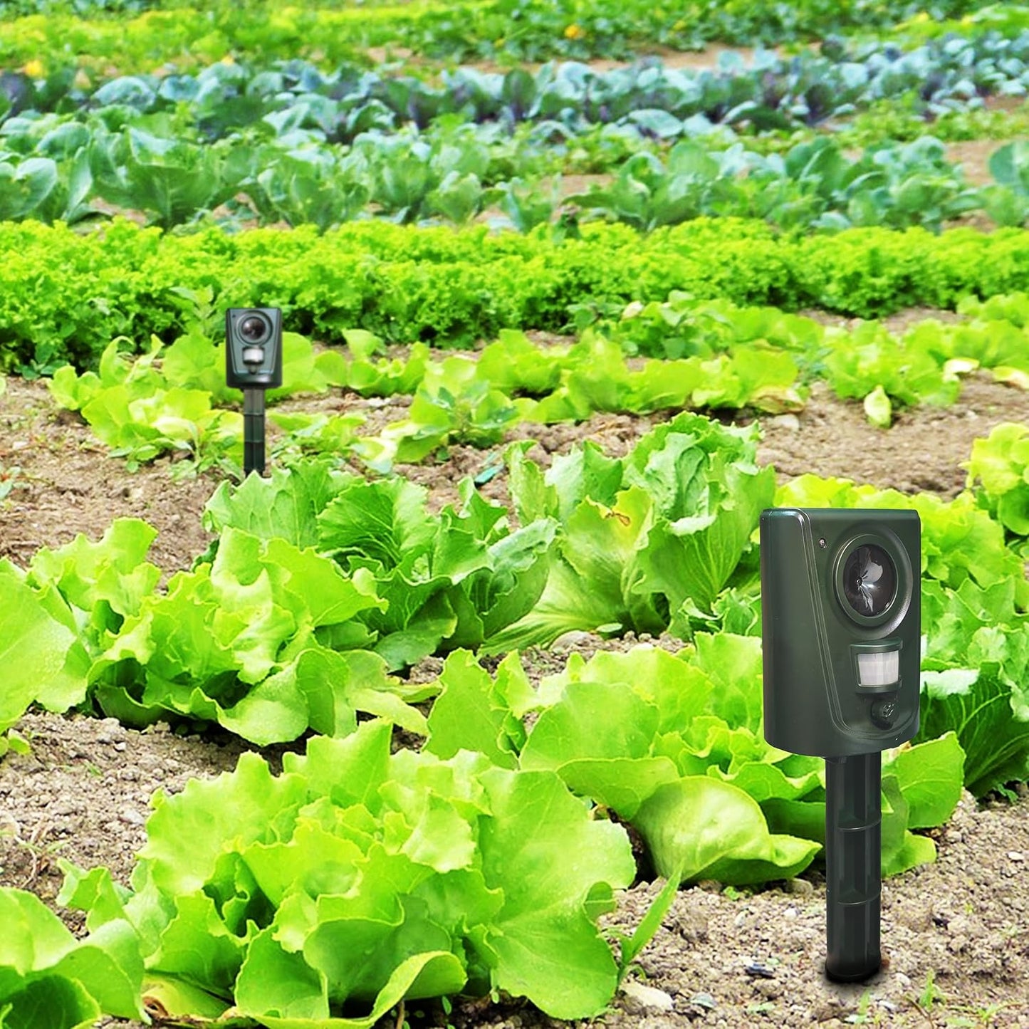 Outdoor Cat Repellent - Ultrasonic - Garden Protection