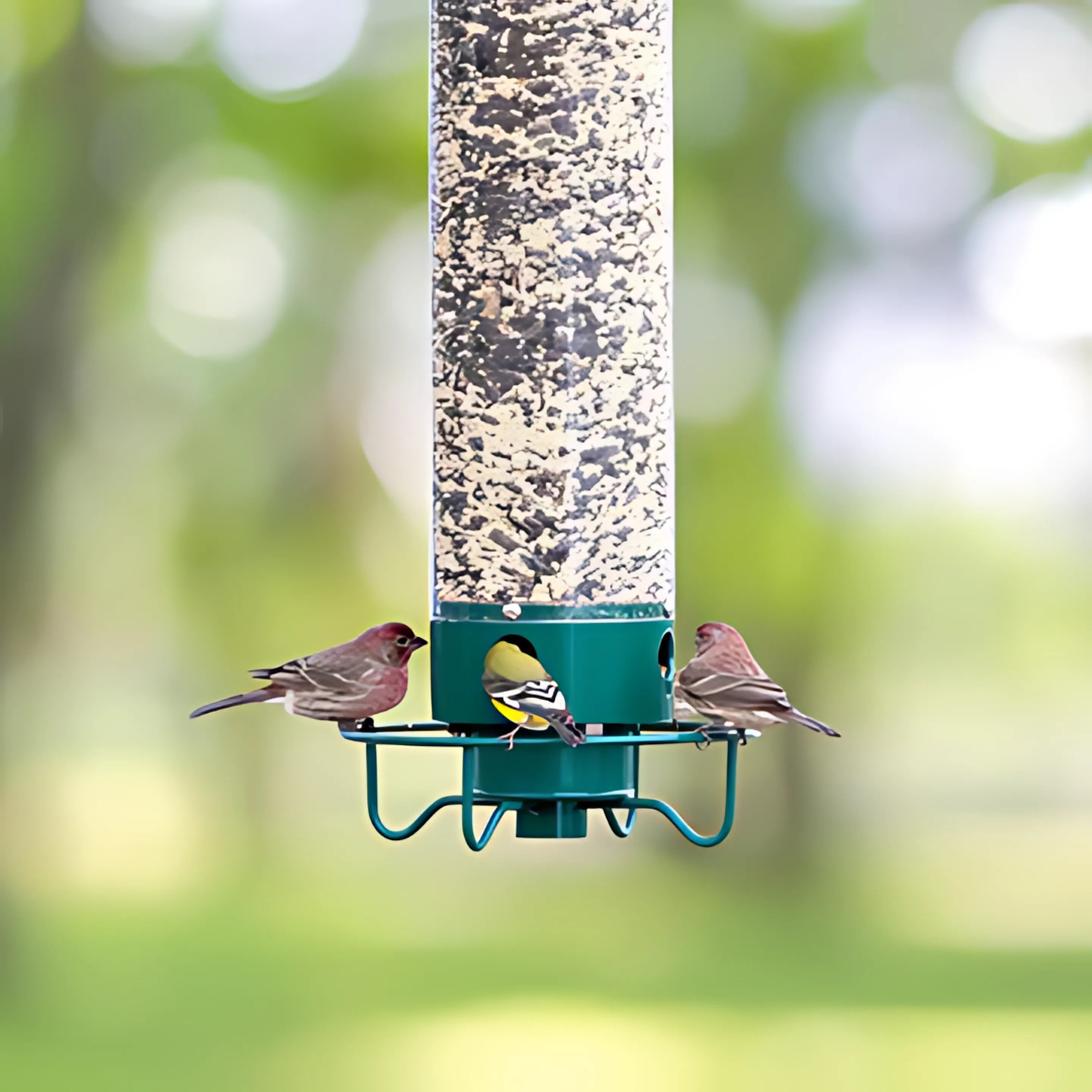 Outdoor Squirrel-Proof Bird Feeder with Spinning Perch