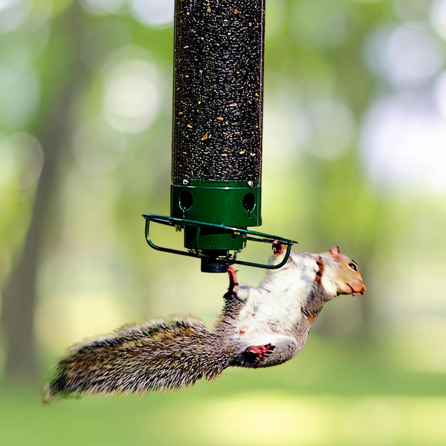 Outdoor Squirrel-Proof Bird Feeder with Spinning Perch