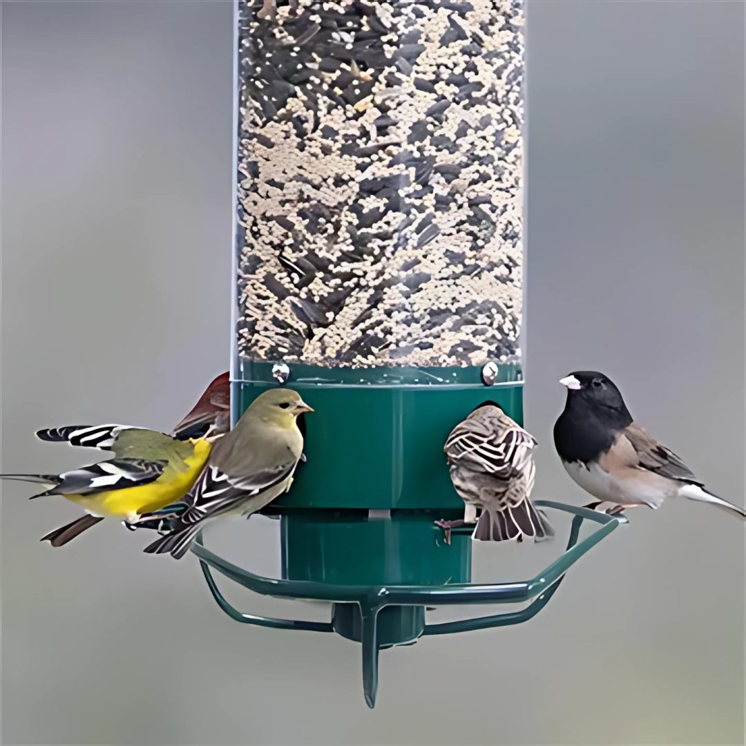 Outdoor Squirrel-Proof Bird Feeder with Spinning Perch