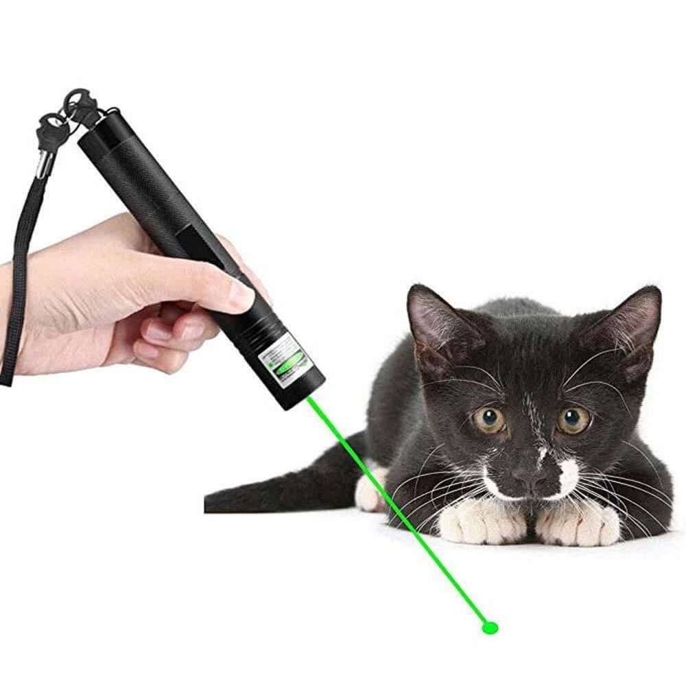 Powerful Laser Pointer: Green/Red