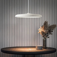 Round Iron Pendant Light - Modern Style Ceiling Lamp - LED Lighting