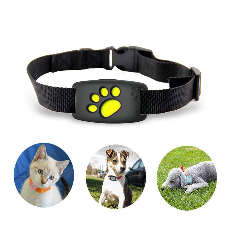 Smart GPS Cat Collar - Waterproof and No Subscription