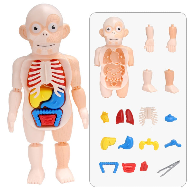 Spooky Fun: Kids' Anatomy Set - Educational and Interactive Toy