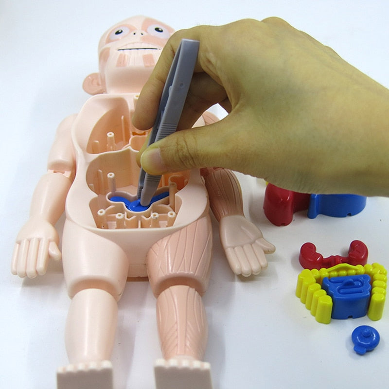 Spooky Fun: Kids' Anatomy Set - Educational and Interactive Toy
