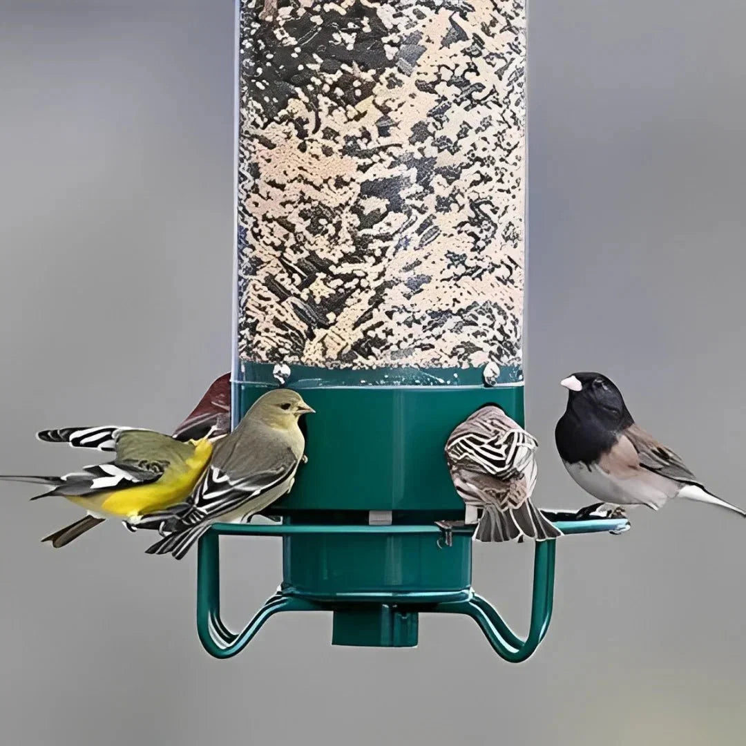 Squirrel-Proof Bird Feeder with Anti-Squirrel Design