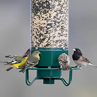 Squirrel-Proof Bird Feeder with Anti-Squirrel Design
