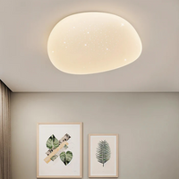Starry LED Ceiling Light - Acrylic - Modern - 23cm