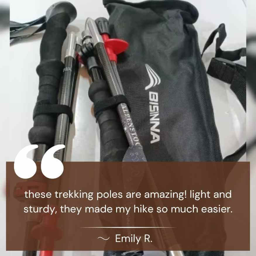 TrailMate Ultra-Light Aluminum Trekking Hiking Poles