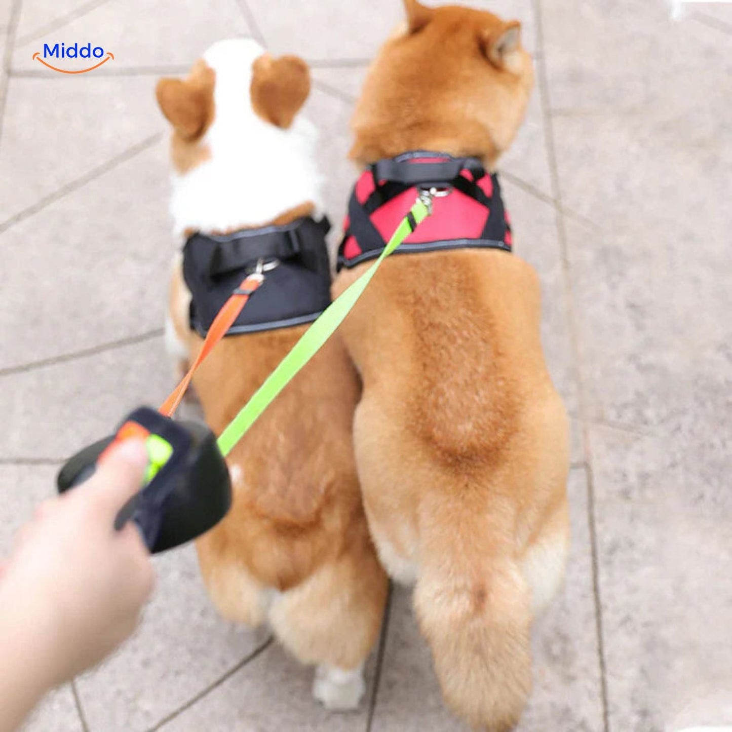 Twintails Easywalk | 2-in-1 Retractable Leash For Small And Medium Dogs