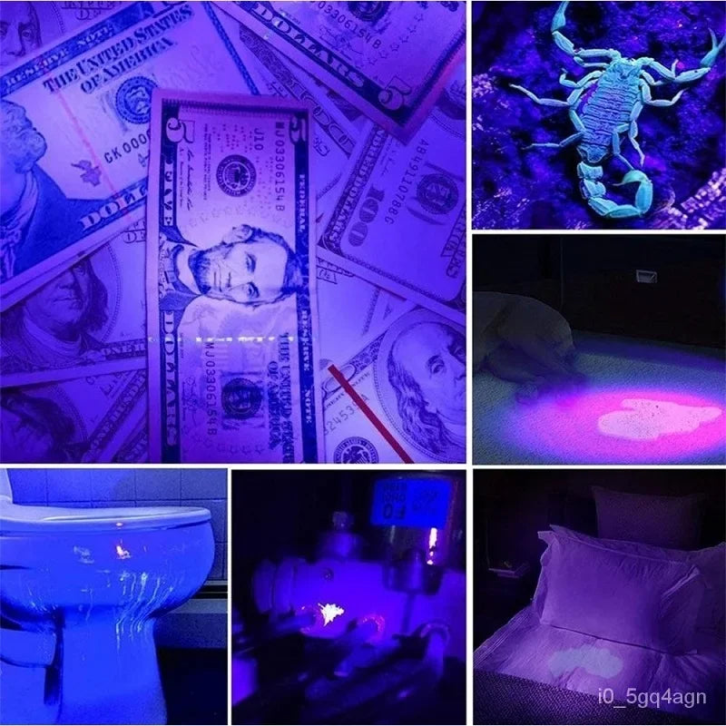 UV Flashlight for Bed Bug Detection and Stain Detector