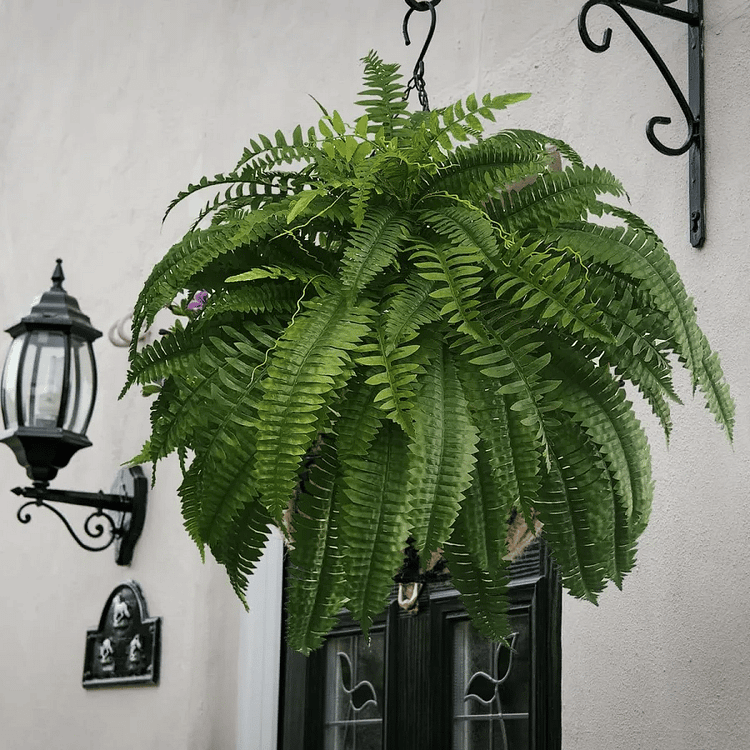 UV-Resistant Lifelike Artificial Boston Fern for Outdoor Décor