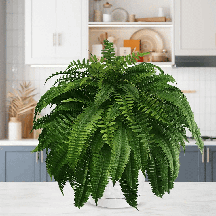 UV-Resistant Lifelike Artificial Boston Fern for Outdoor Décor