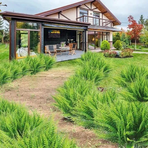 UV-Resistant Lifelike Artificial Boston Fern for Outdoor Décor