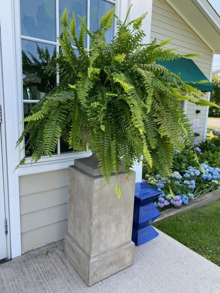 UV-Resistant Lifelike Artificial Boston Fern for Outdoor Décor