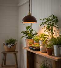 Walnut Dome Pendant Light - Modern Style Plant Grow Light