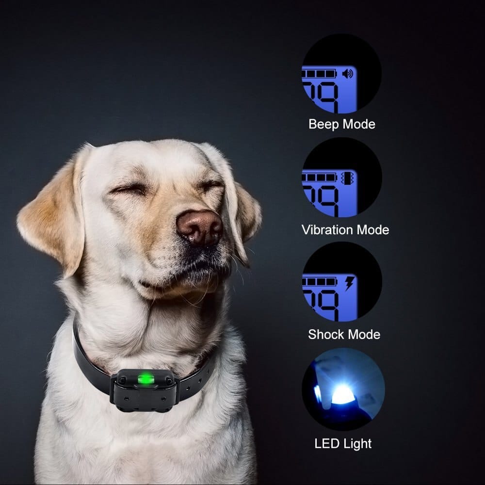 Waterproof Electric Dog Training Collar with Remote, 800m Range