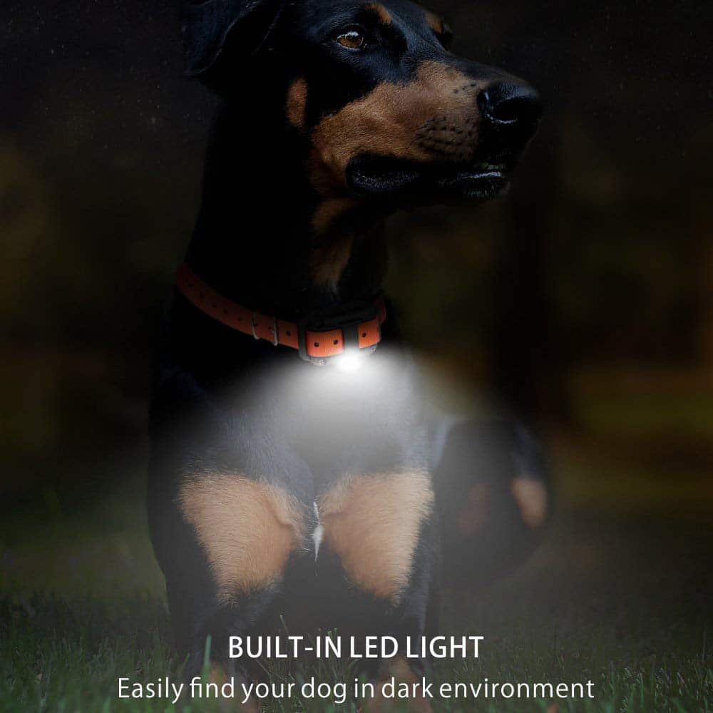 Waterproof Electric Dog Training Collar with Remote, 800m Range