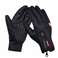 Windproof Thermal Gloves