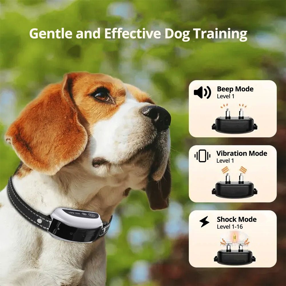 Wireless Dog Fence System with Adjustable Collar